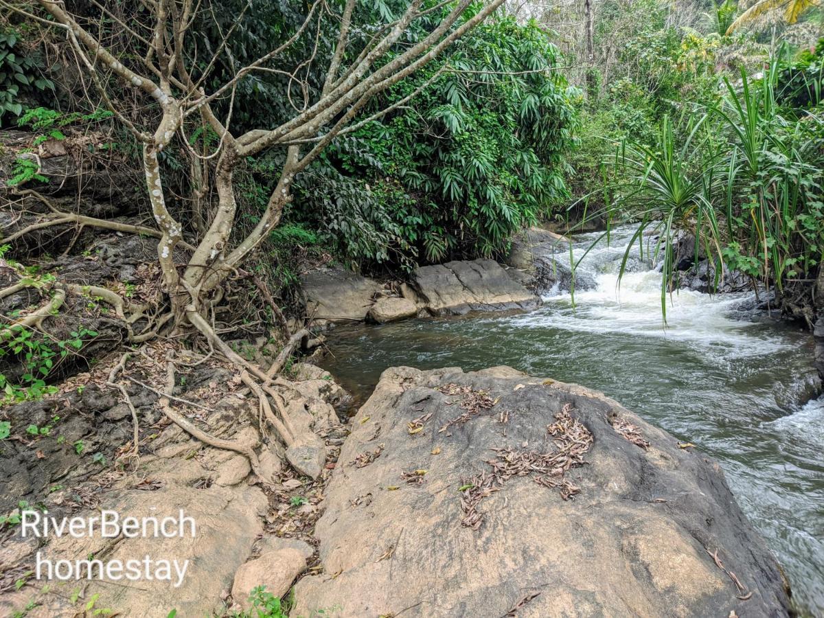 Riverbench Homestay Munnar, Anaviratty Extérieur photo