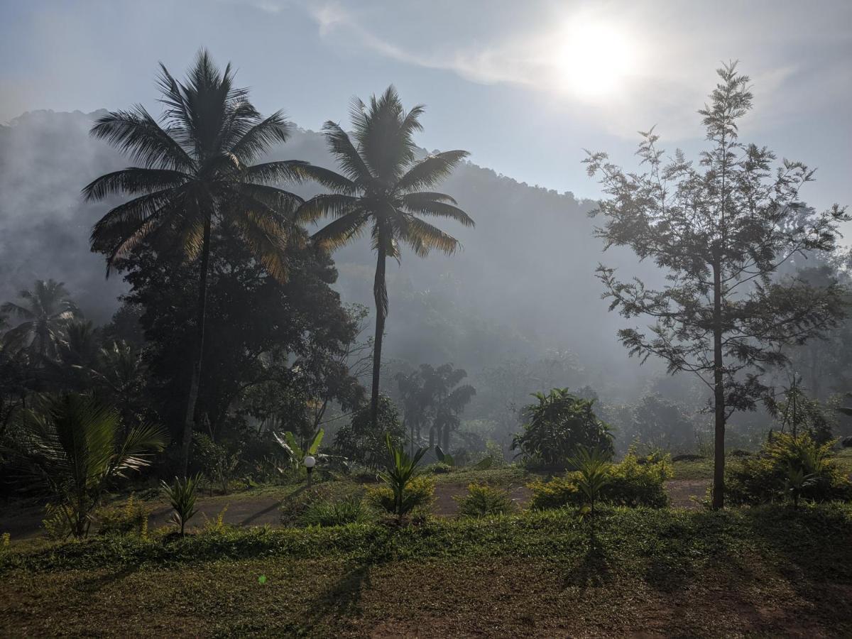 Riverbench Homestay Munnar, Anaviratty Extérieur photo