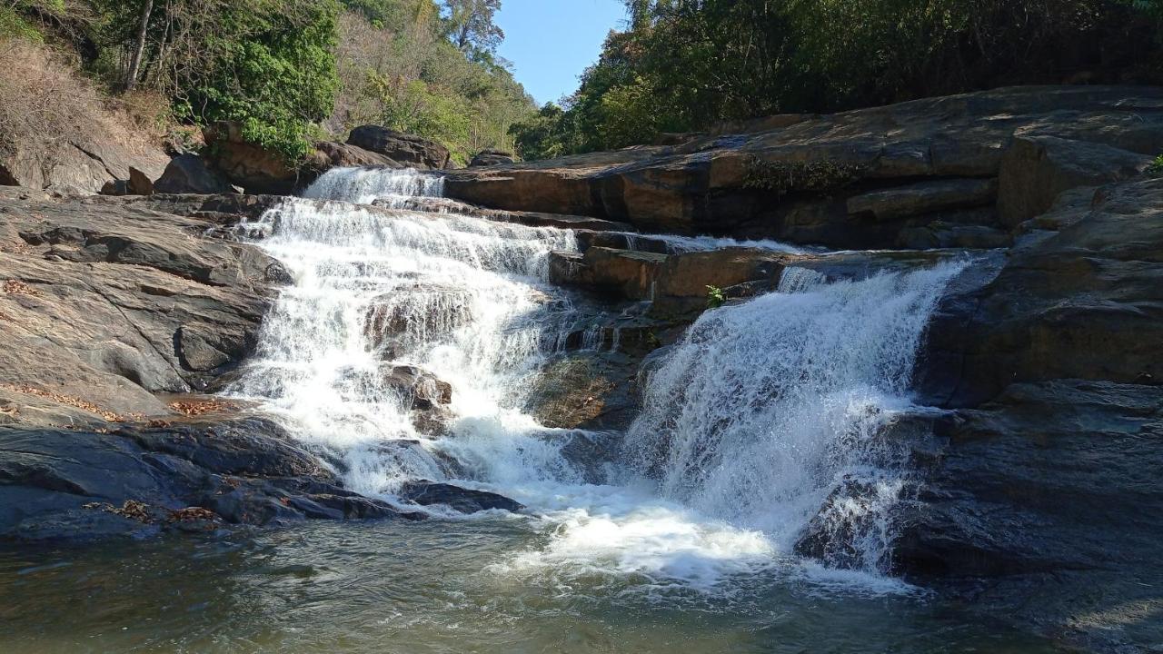Riverbench Homestay Munnar, Anaviratty Extérieur photo