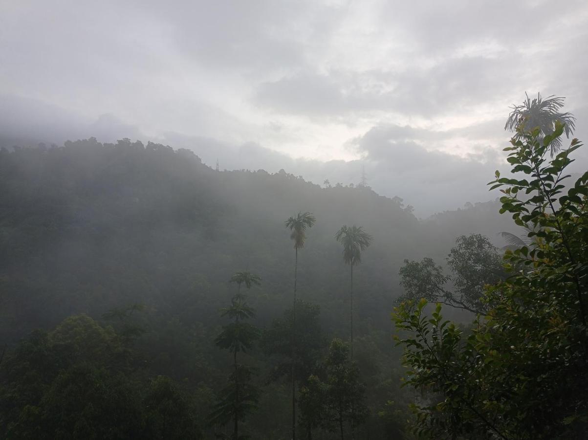 Riverbench Homestay Munnar, Anaviratty Extérieur photo