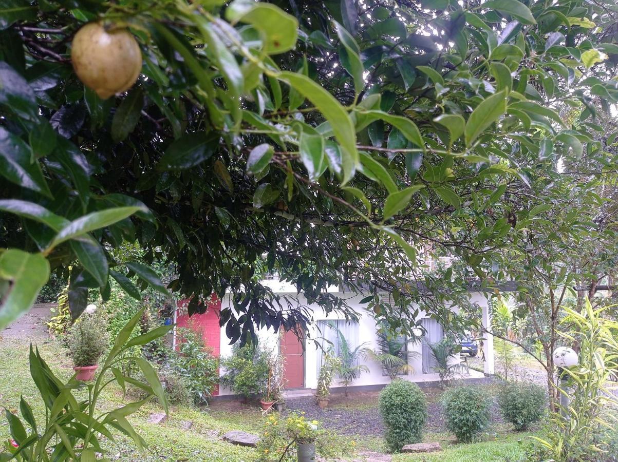 Riverbench Homestay Munnar, Anaviratty Extérieur photo
