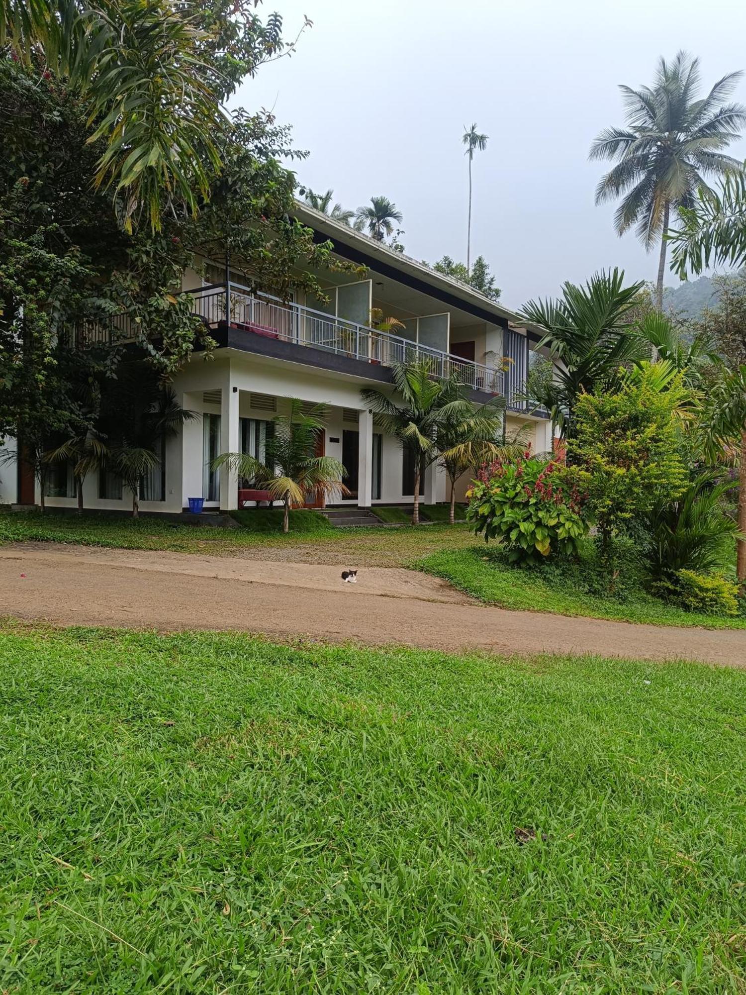 Riverbench Homestay Munnar, Anaviratty Extérieur photo