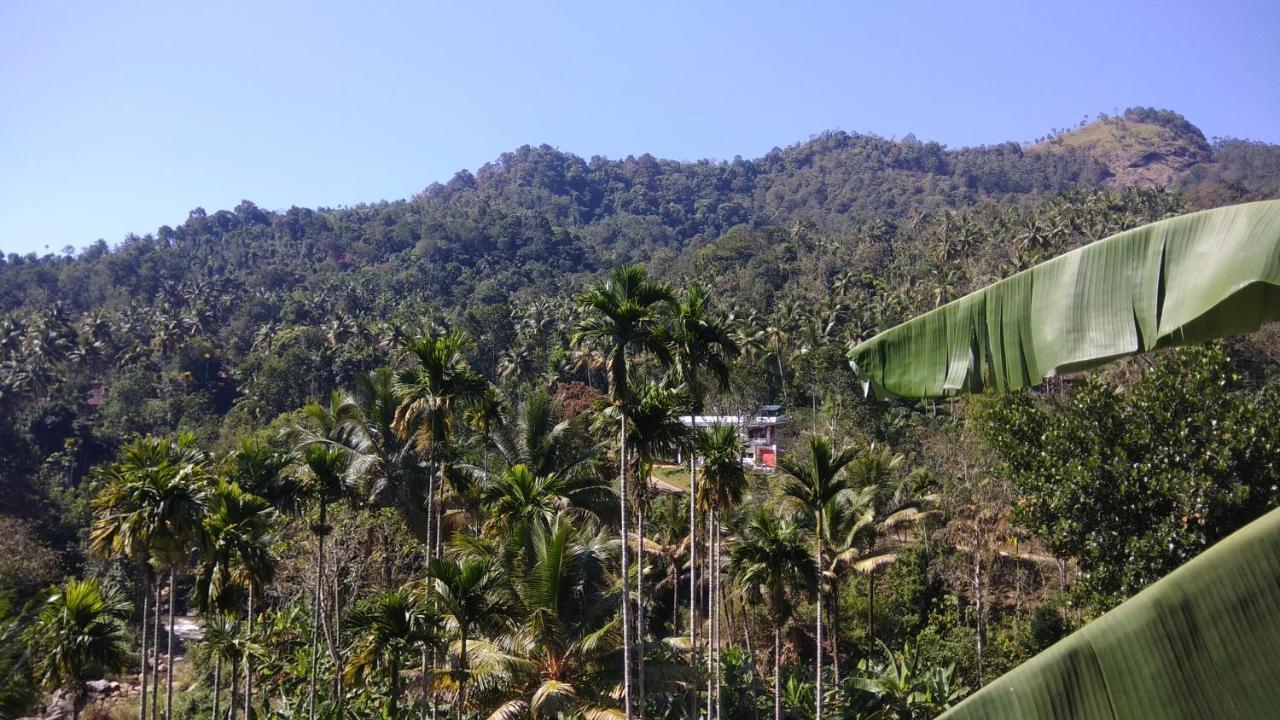 Riverbench Homestay Munnar, Anaviratty Extérieur photo